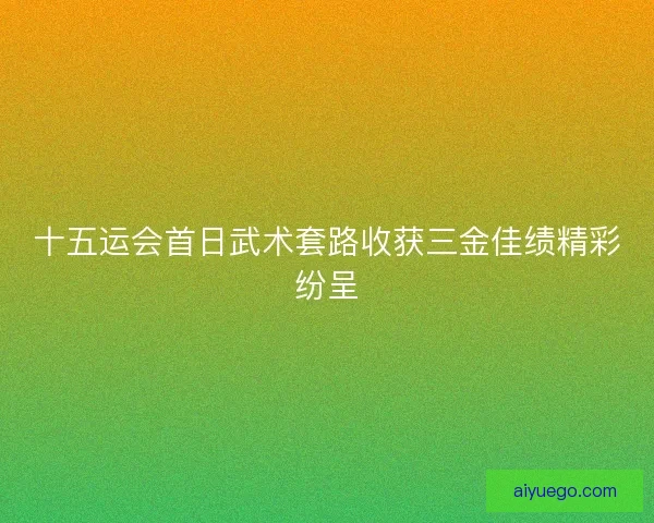十五运会首日武术套路收获三金佳绩精彩纷呈